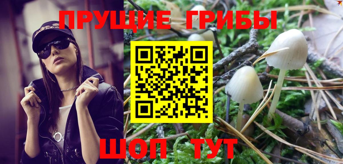 Галлюциногенные грибы Psilocybine cubensis  Вход с VPN  Батайск  даркнет сайт  Псилоцибиновые грибы Psilocybine cubensis 